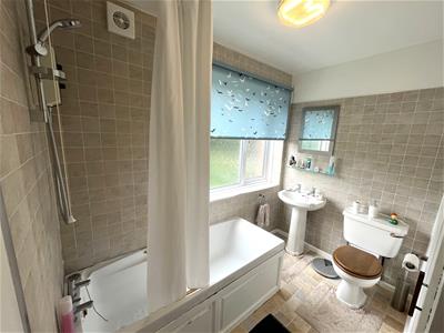 Picture 11